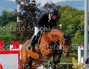 Del Covillo Gerika GioCav2013 S5 3601 : Campionati Italiani Giovani Cavalli, Cattolica, Del Covillo Fabio, Gerika, ph Stefano Secchi ©